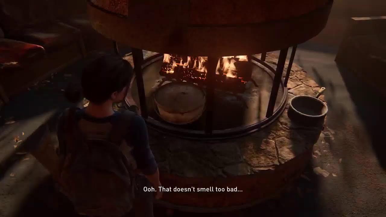 The Last of us part2 day 5