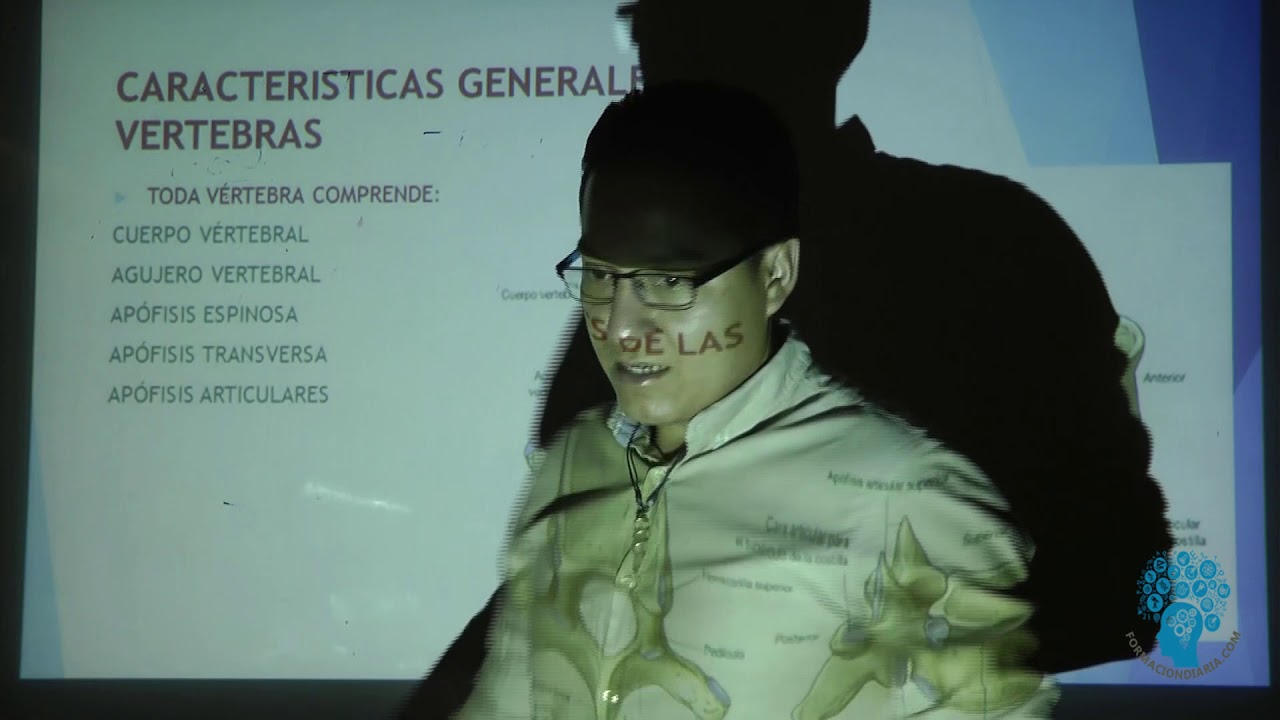 Esqueleto del Tronco