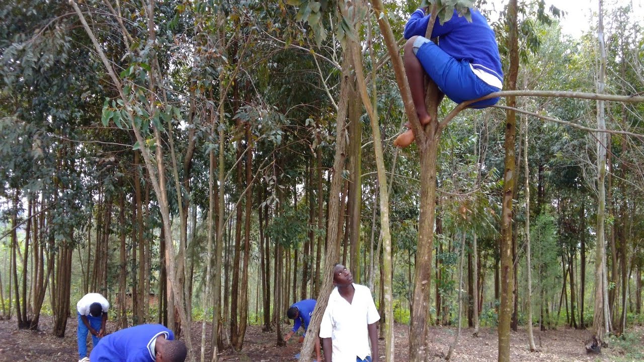 MUKOBWA?#WURIRA IBITI#GUTE we ??