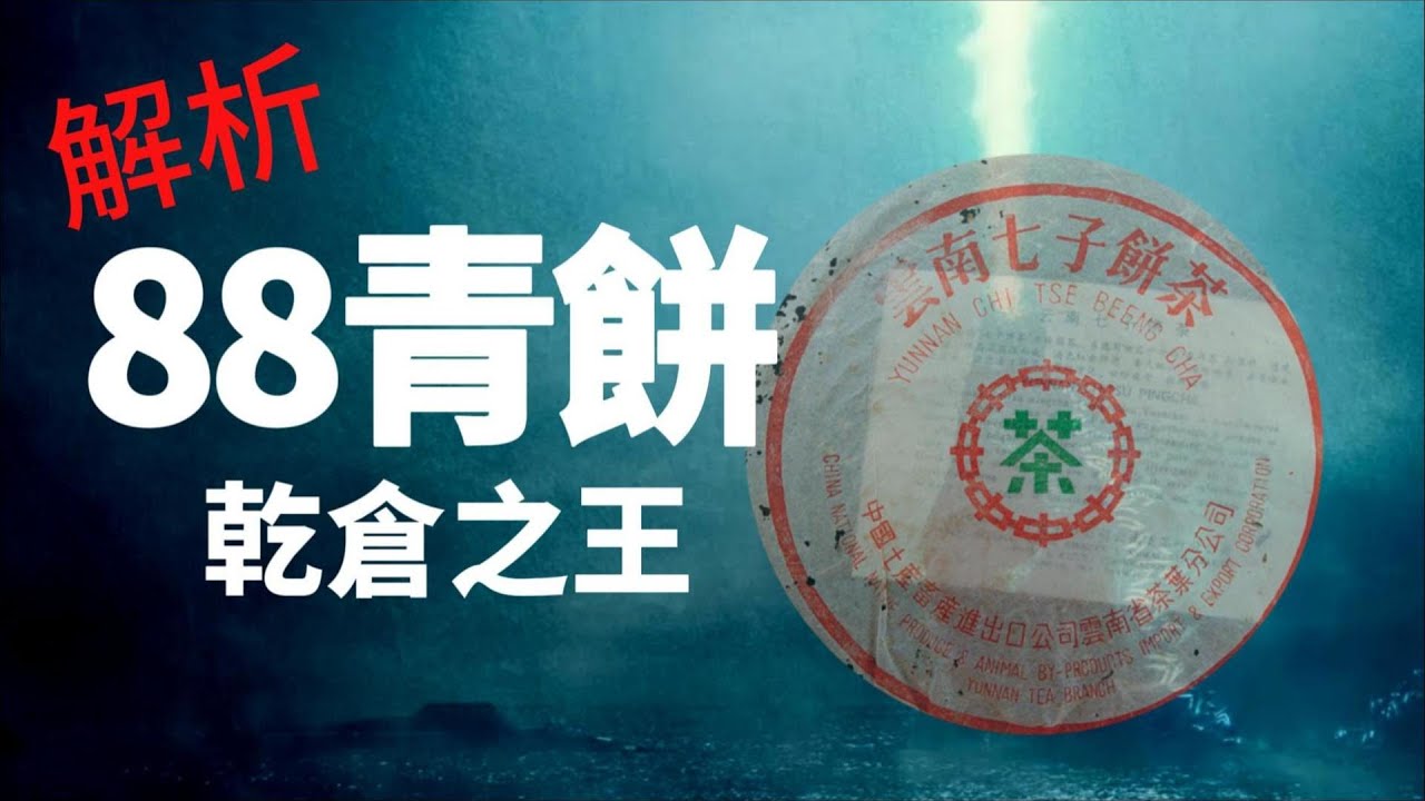 【解密明星茶】乾倉之王！一口氣解析88青餅7542的歷史與故事！還教你辨識八八青餅！