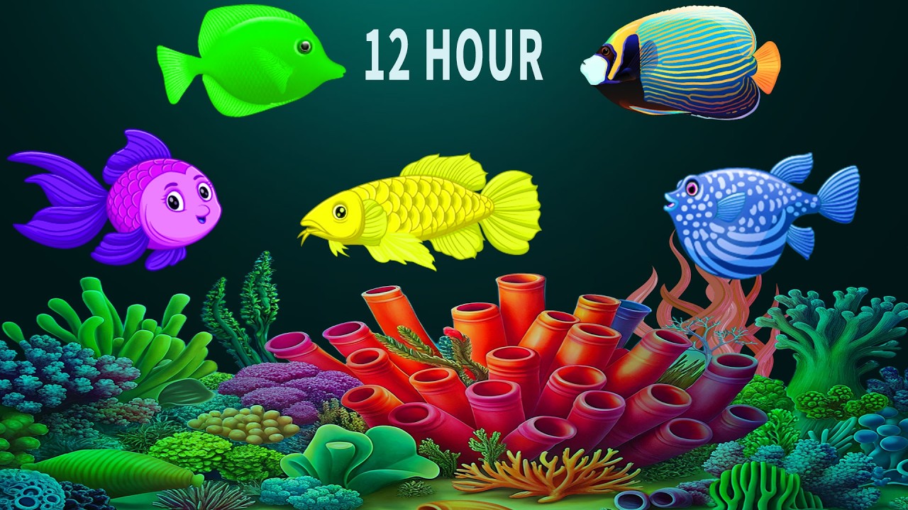 Música Para Dormir Bebés 🐟 Baby Sleep Music 💤 Soft Lullaby for Sweet Dreams #267  Tiny Lullaby