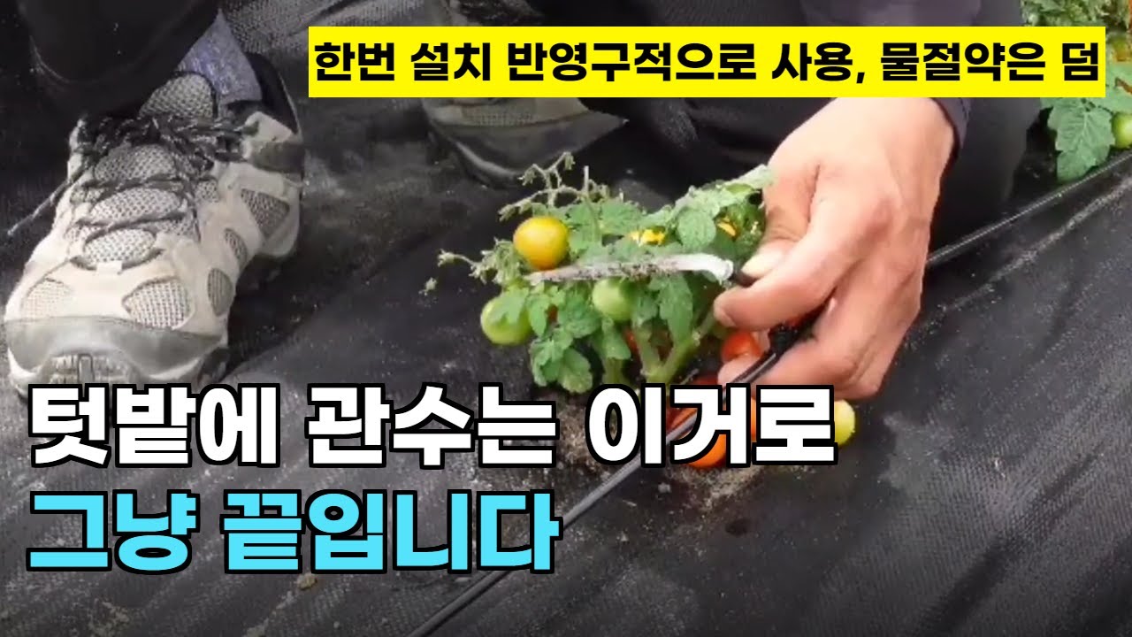 121.텃밭에서 사용할 수 있는 가성비 최고의 관수(물주기) 장치 입니다