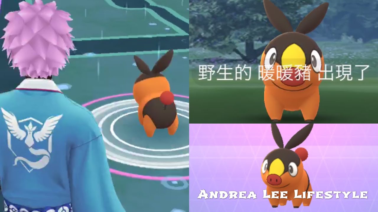 《Pokemon Go》WOW！終於遇到野生暖暖豬 ポカブ Tepig