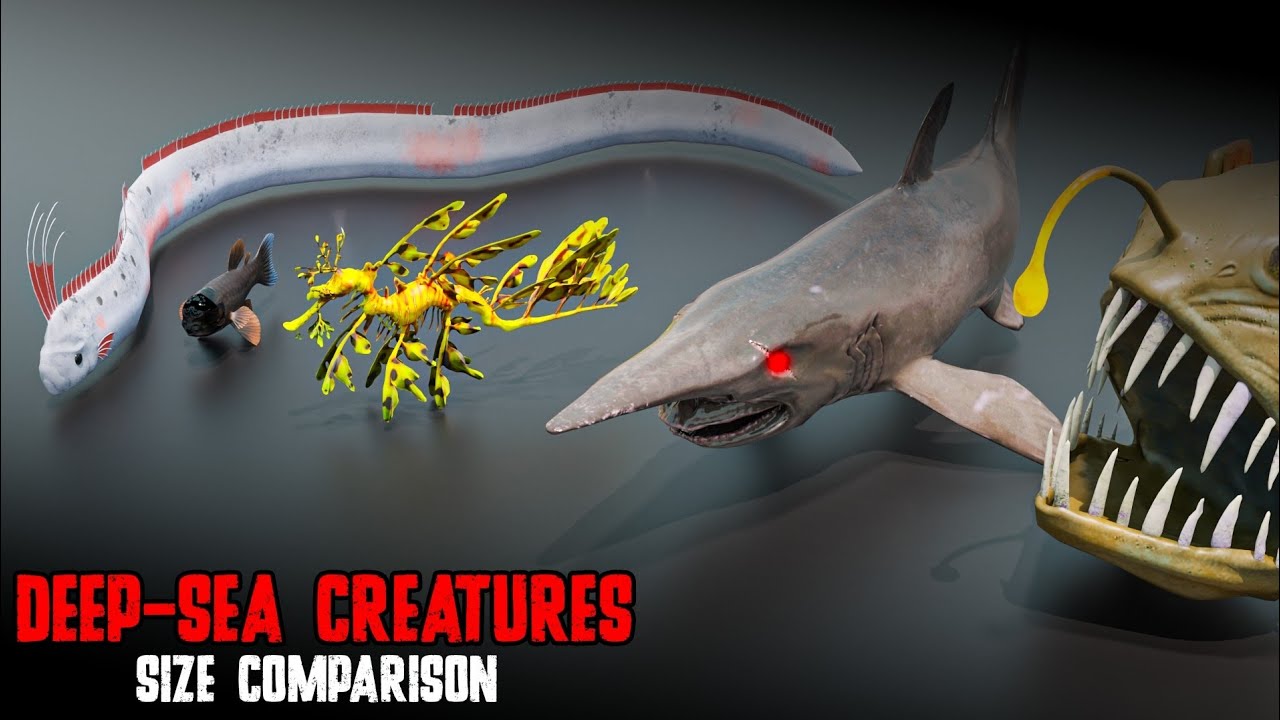 What Lives in the Deepest Parts of the Ocean? Size Comparison