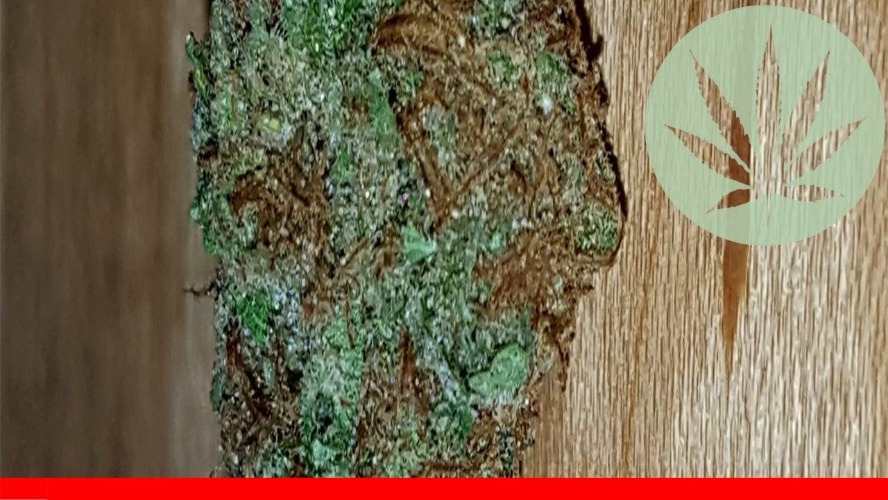 Rollex Og Kush - All About This Strain