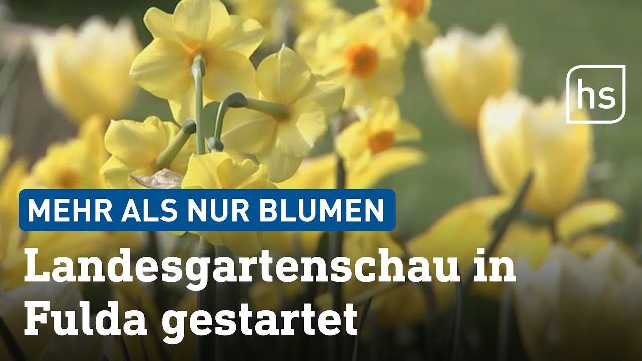 Jahrelang in Fulda vorbereitet: Landesgartenschau eröffnet | hessenschau