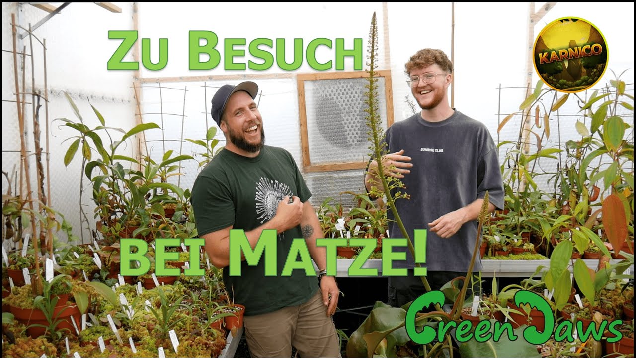 Meine Lieblingspflanzen in Matze's Gärtnerei! I Zu Besuch bei @GreenJaws