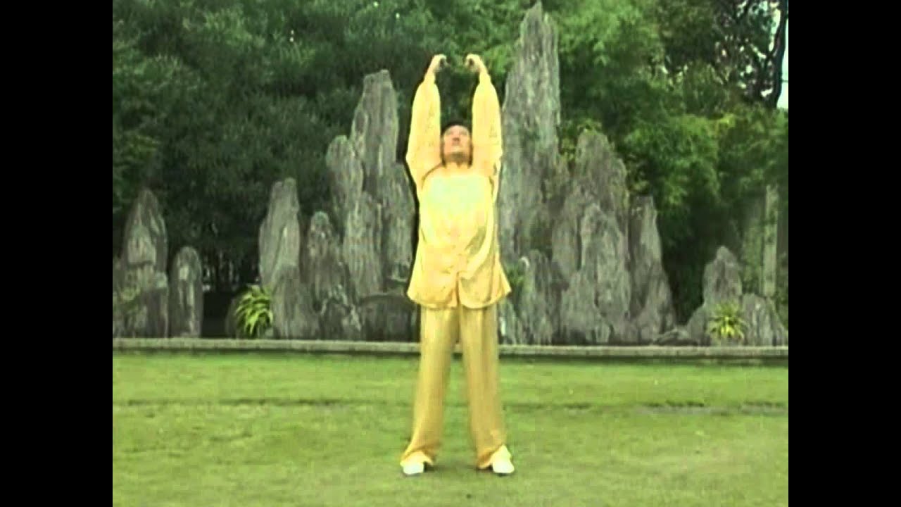 Lian Gong segunda parte HD