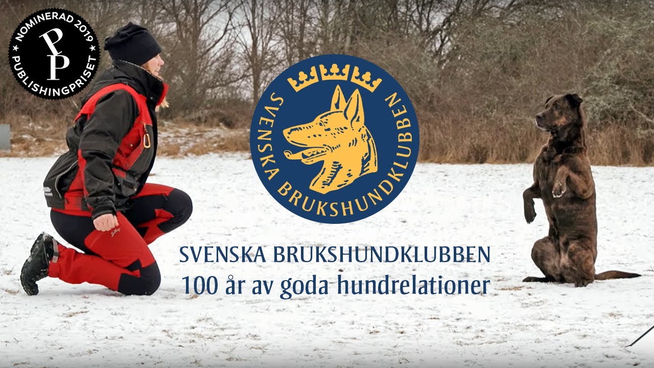 Svenska Brukshundklubben - 100 år av goda hundrelationer