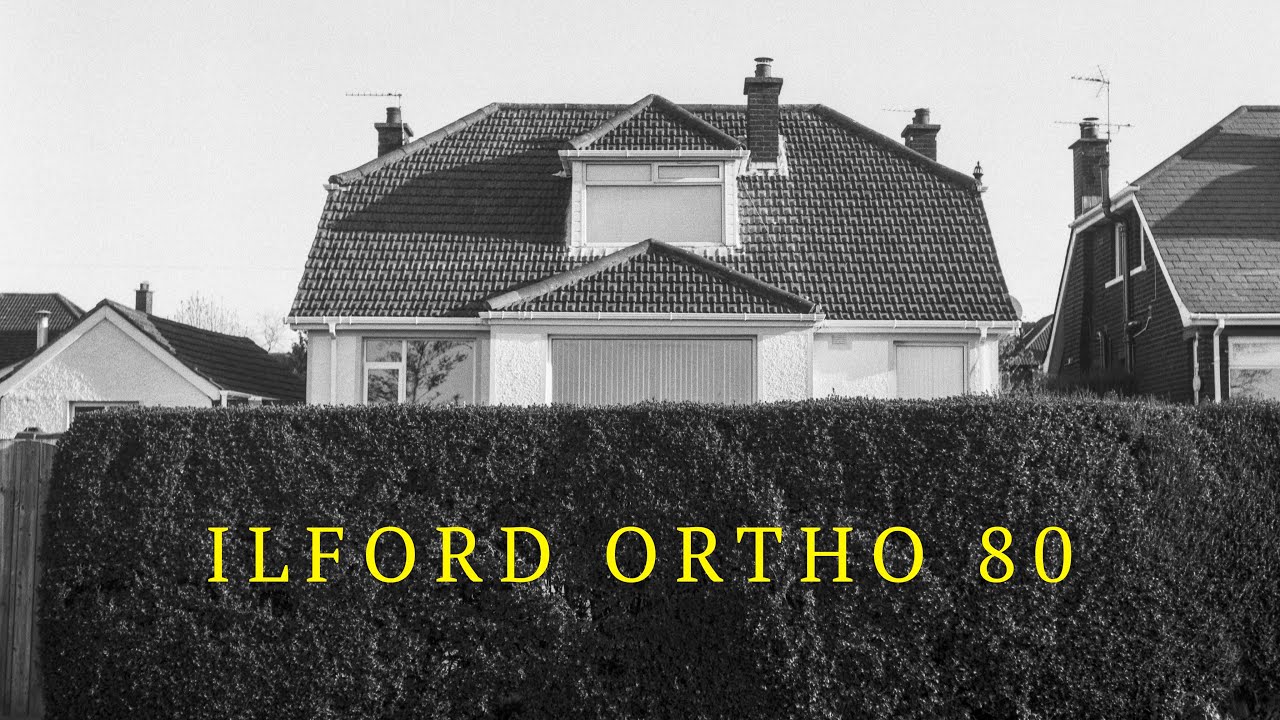 Ilford Ortho Review