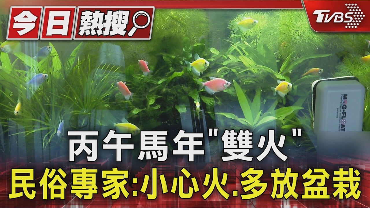 丙午馬年「雙火」 民俗專家:小心火.多放盆栽｜TVBS新聞 @TVBSNEWS01