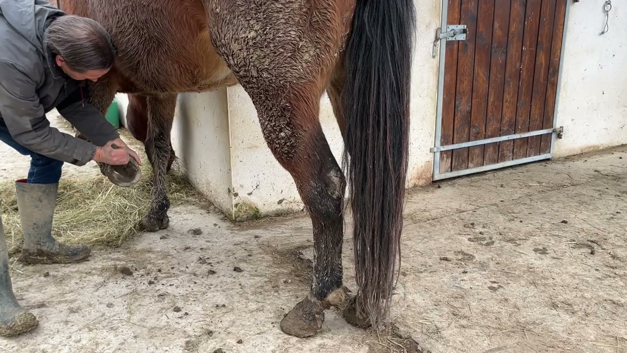 Its a muddy mess.