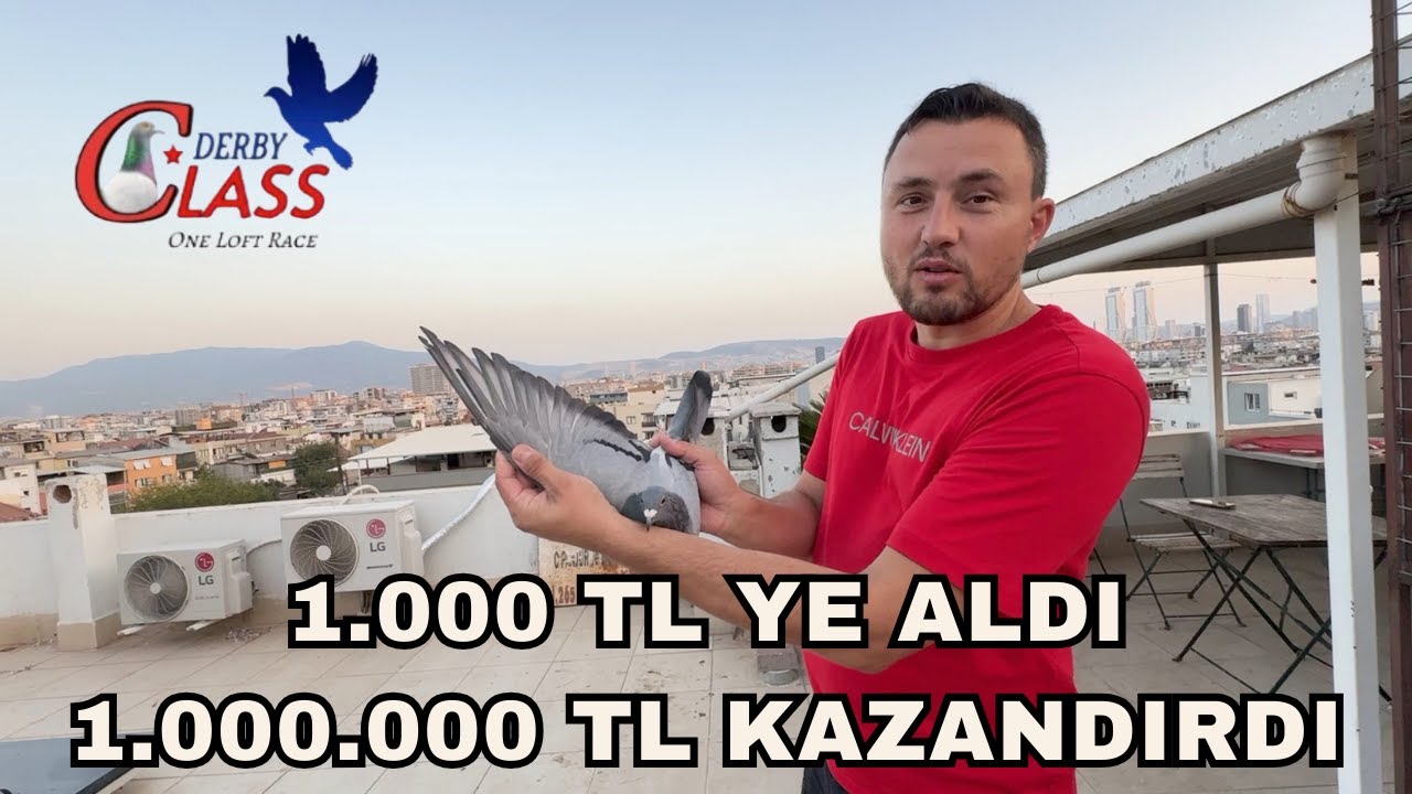 Engin Yıldız Posta Güvercinleri ...