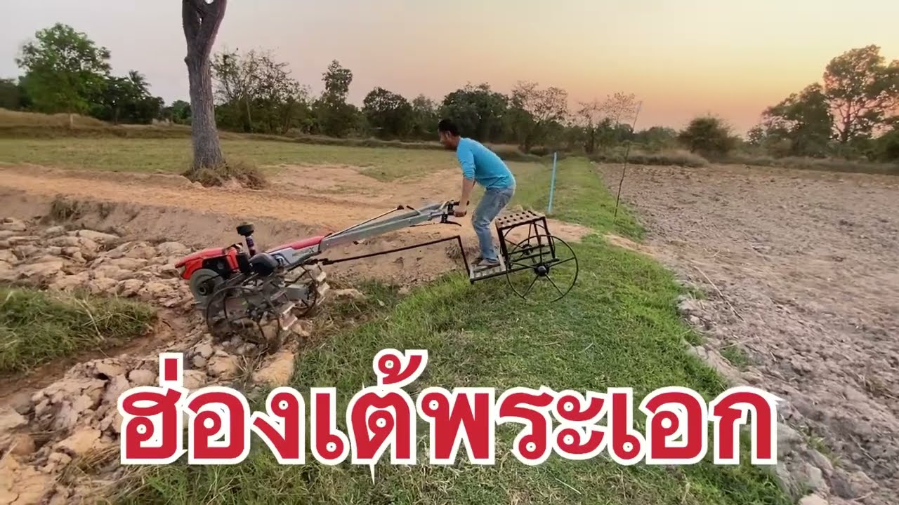 ฮ่องเต้พระเอก  จุดเด่นไม่เชื่อมรถ ไม่กดหางไถ  #ผานหัวหมูพระเอก  #ผานหัวหมูแต่ง  #รถไถเดินตาม