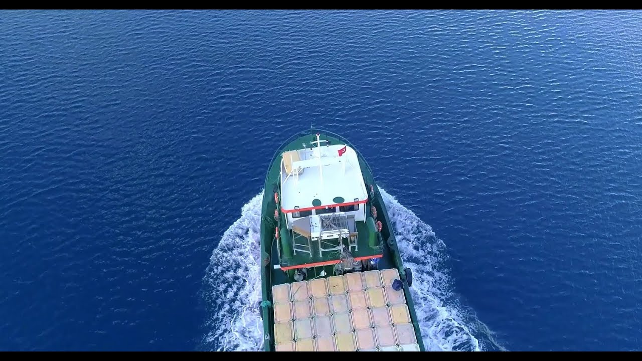 KILIÇ Seafood -2025