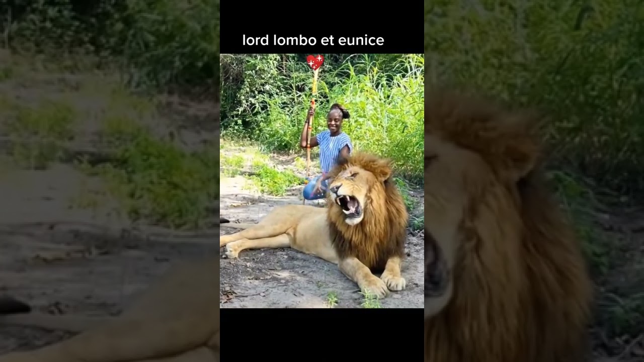 @LordLomboOfficial et @eunicedaloaara3091 en amoureux le seigneur combat pour moi @gospelafro510K