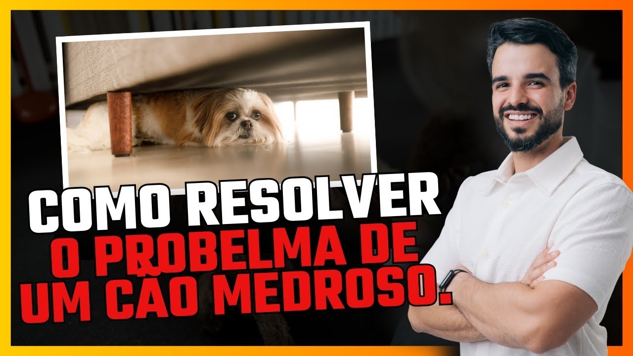 COMO RESOLVER O PROBLEMA DE UM CÃO MEDROSO