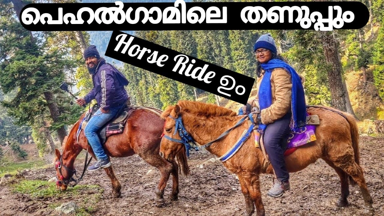 EP:30 Horse Ride in Pehalgam,  Kashmir, TJ Diaries,