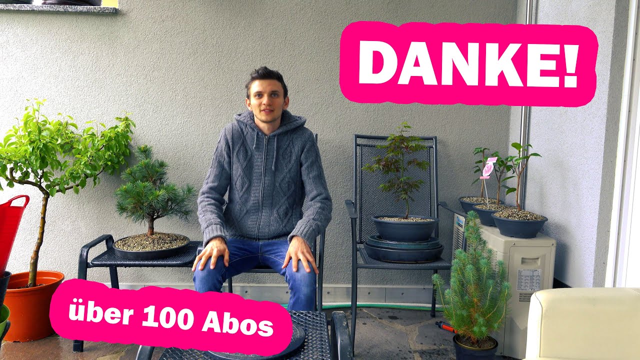 Ein Dankeschön! Bonsai, Yamadori und andere Pflanzen Update!