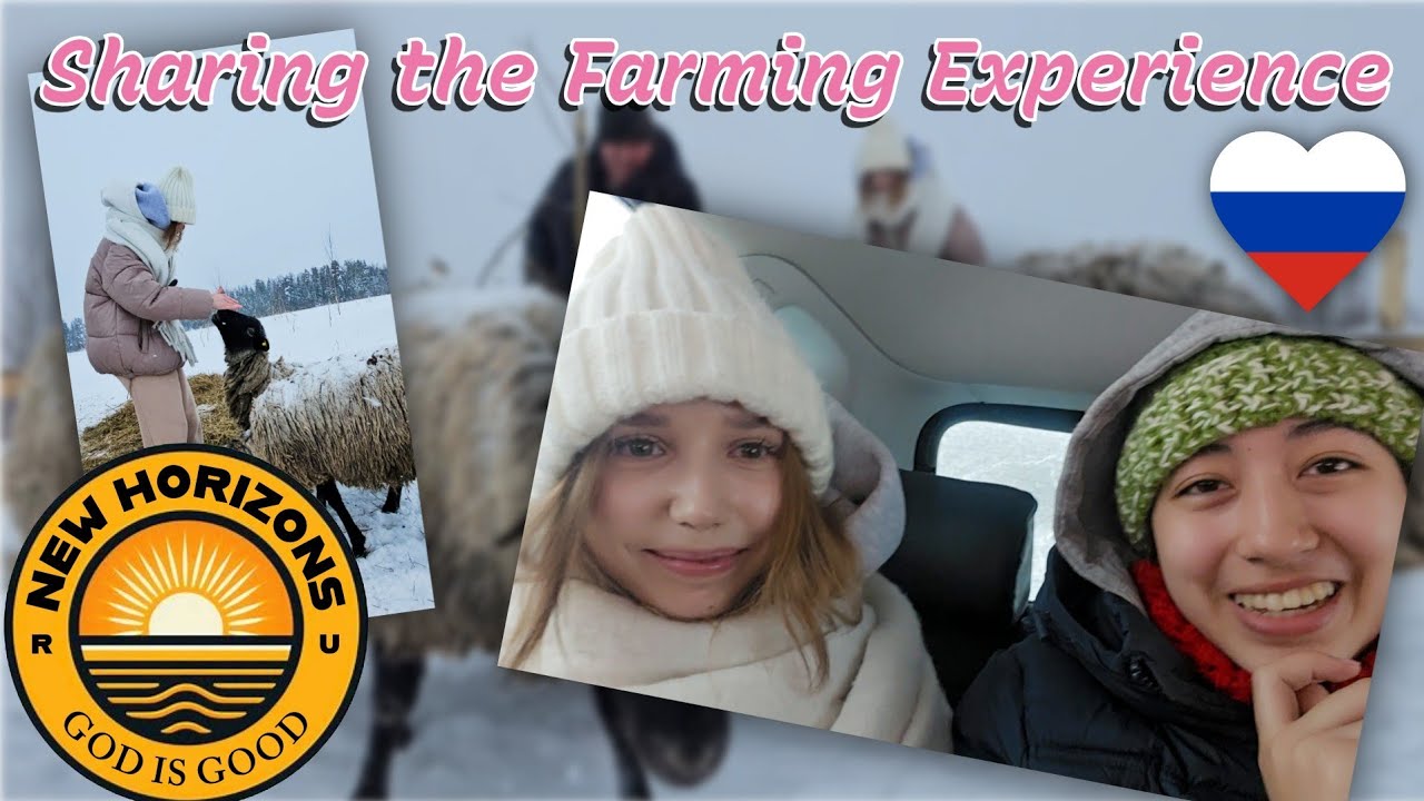 Sharing Our Farm Life with a City Girl 🐑 Farming in RUSSIA 🇷🇺 ❤️ 
