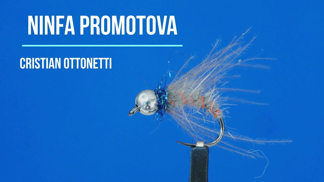 Ninfa promotova variante