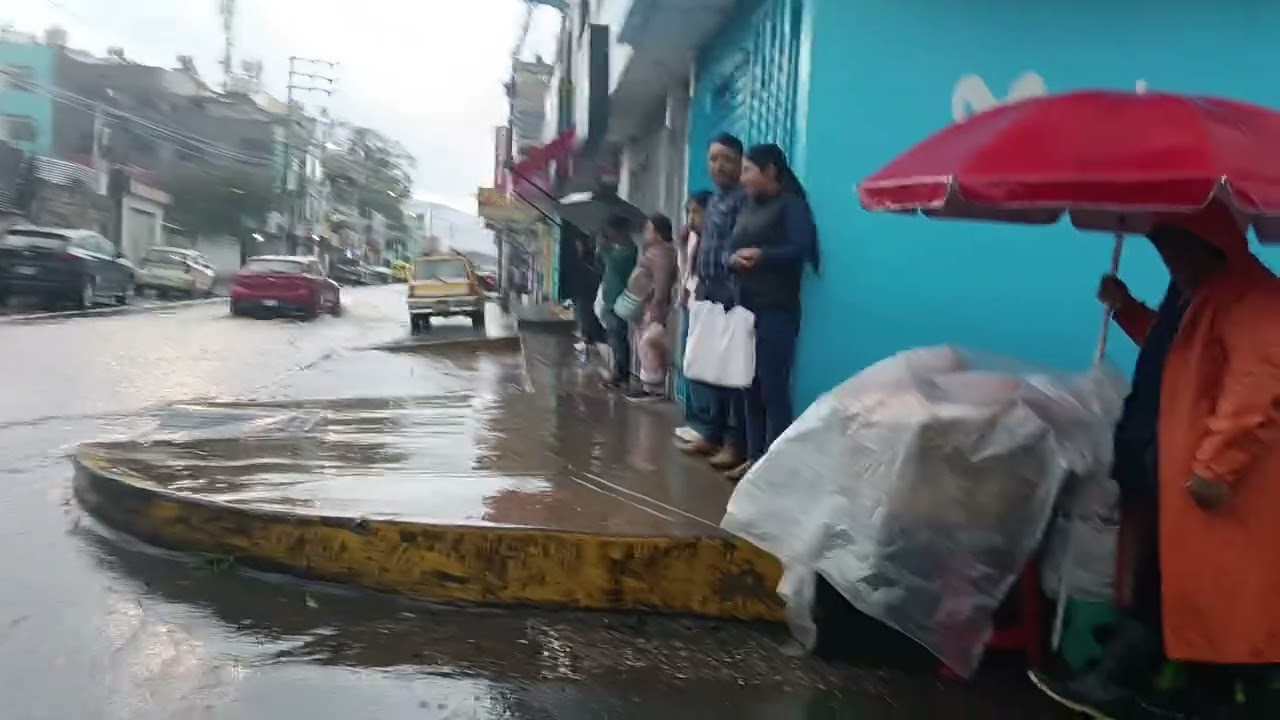 19 de febrero de 2026