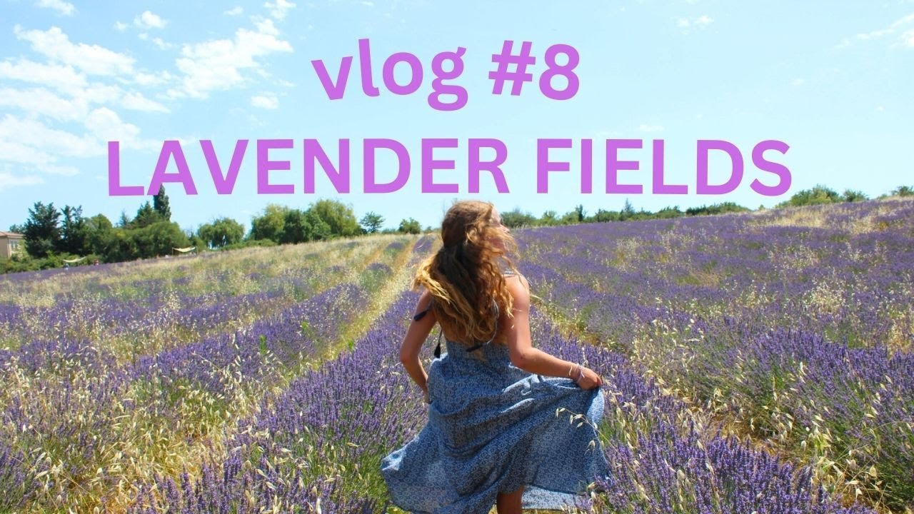 a trip to the terre ugo lavender fields! july 15th, 2023