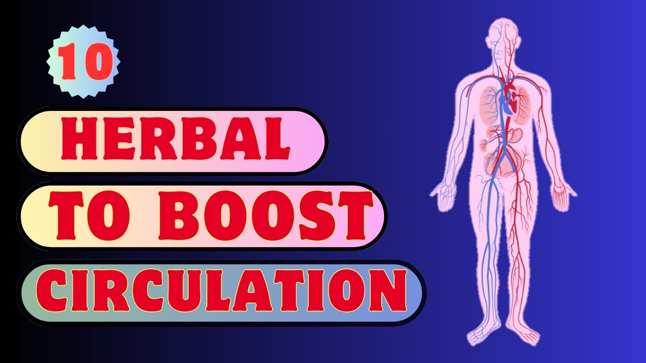 10 HERBAL TEA TO BOOST CIRCULATION NATURALLY !!