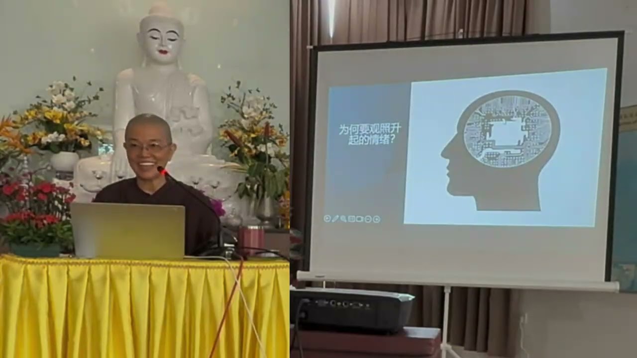 善戒法师开示： 心念处 (2025年09月01日)