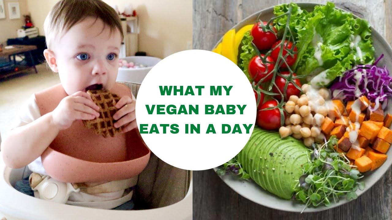WHAT MY VEGAN BABY EATS IN A DAY!! | Sam&Alyssa |