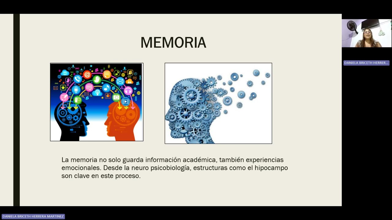 PROCESOS COGNITIVOS EN LA COTIDIANIDAD