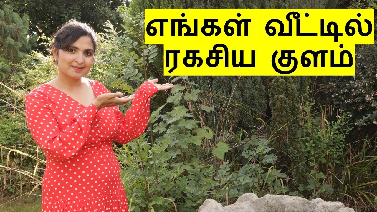 கார்டனை சுத்தி பார்க்கலாம் வாங்க / Garden Tour VLOG / Chennai Girl In London
