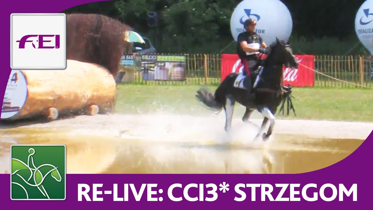 Re-Live - Cross Country (CCI3*) - Strzegom Horse Trials