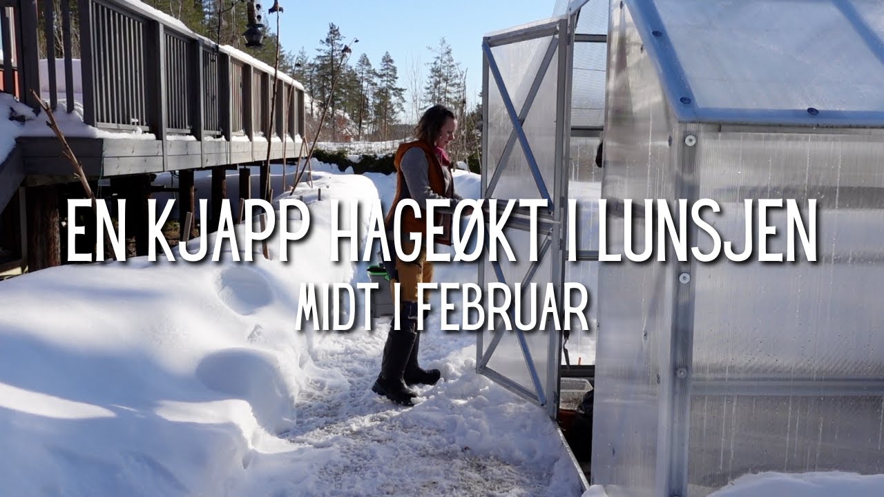 En kjapp hageøkt i lunsjen | Midt i februar