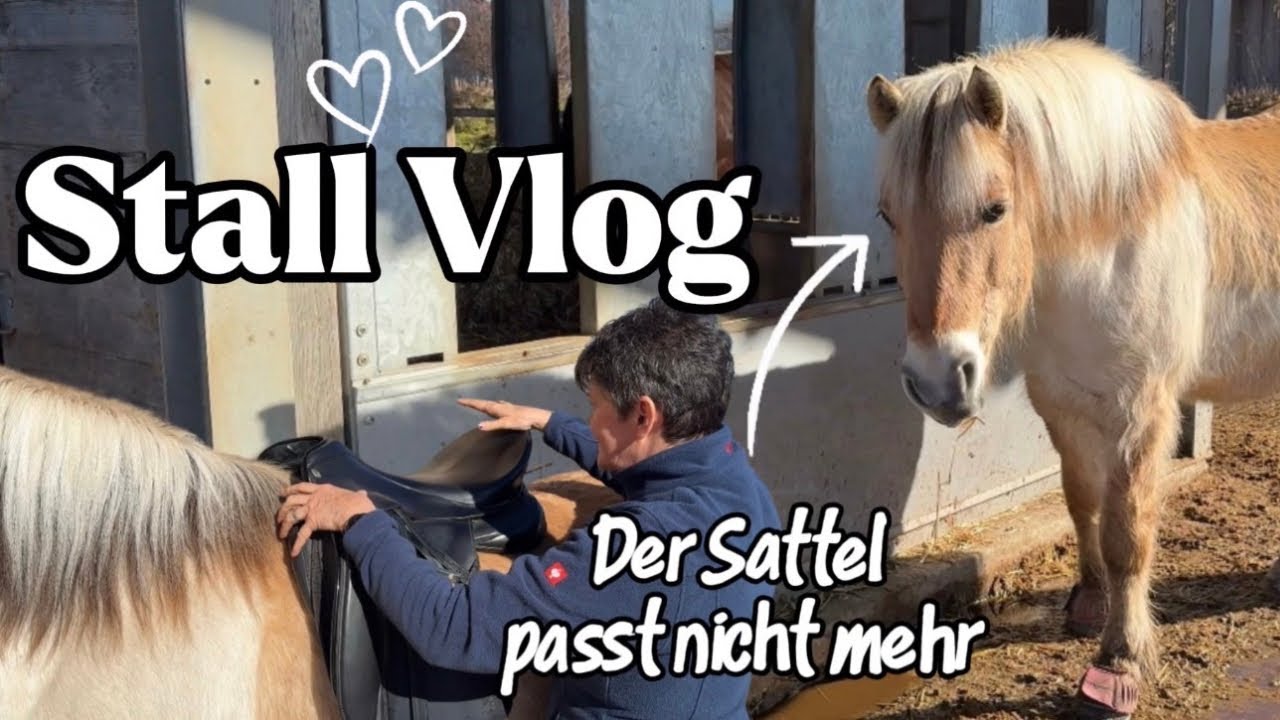 Stall Fma, meine Sattlerin kommt