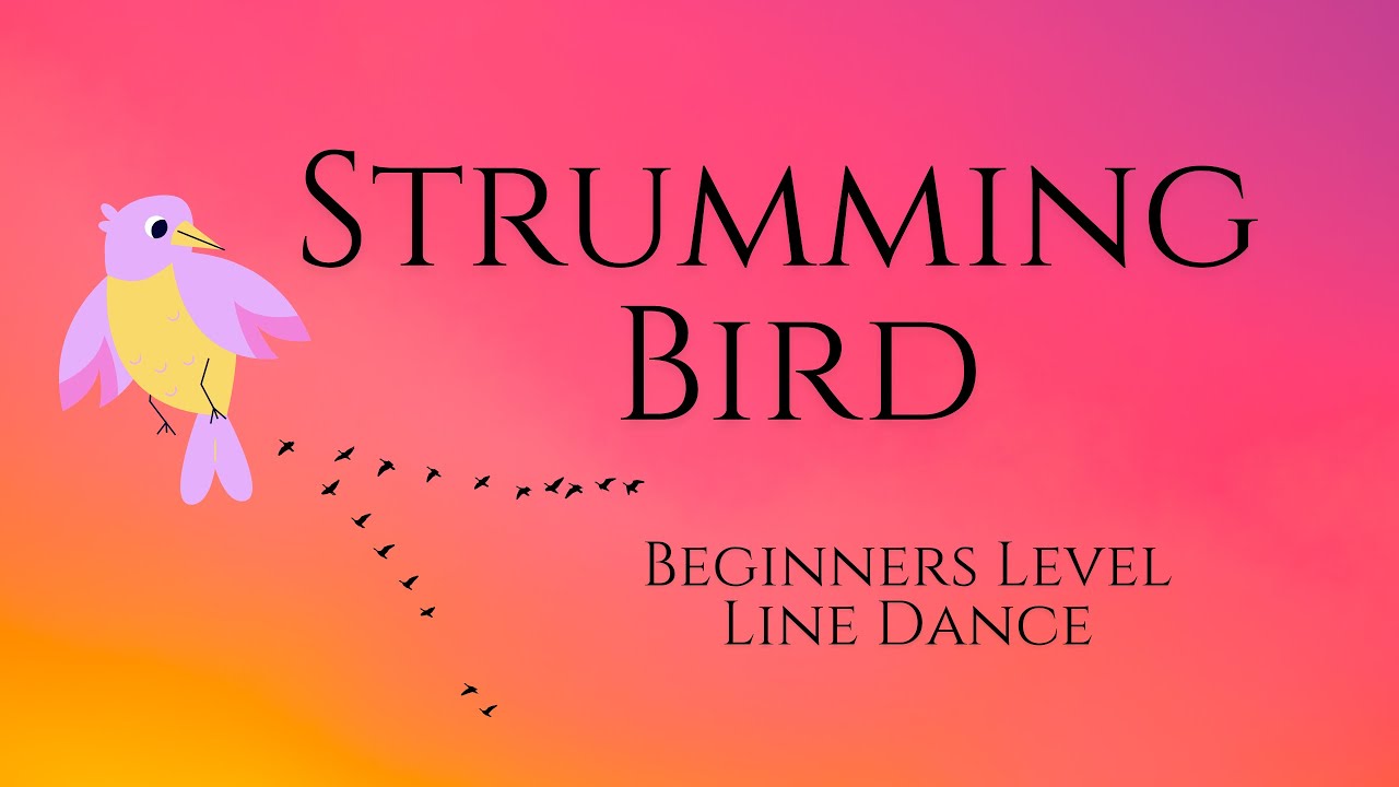 Strumming bird Beginners Line Dance