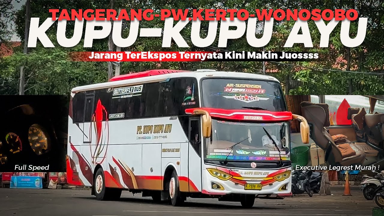 [ KAGET SAMA PELAYANAN NYA SEKARANG ! 😳] MAKIN MANTAP DI JALUR NGAPAK Trip Kupu-Kupu Ayu Purwokerto