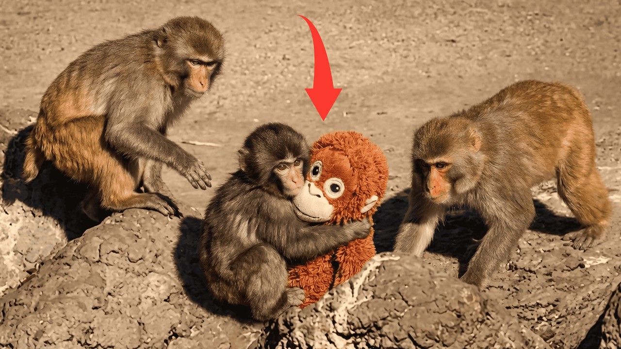 Maybe Punch’s Loneliness Has Returned… He Still Won’t Let Go of Ora-mama