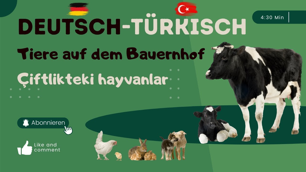 Für bilinguale Kinder (Deutsch-Türkisch) - Tiere auf dem Bauernhof
