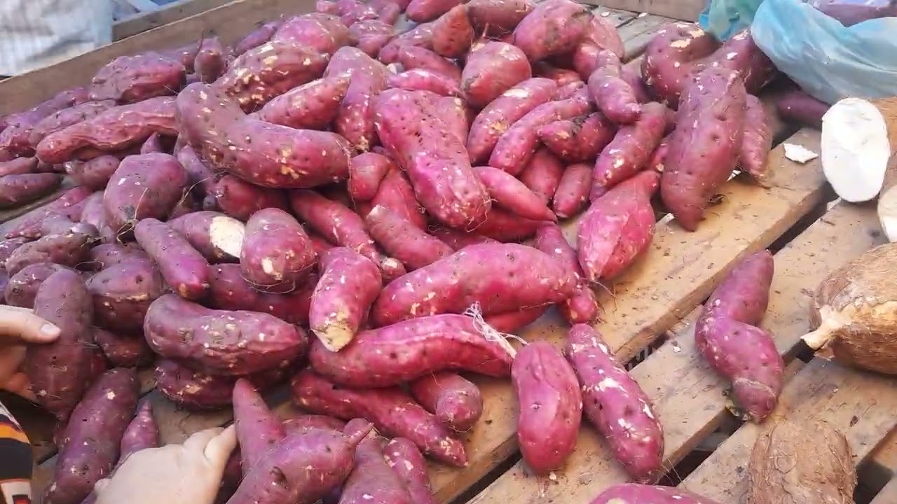 Feira livre Capoeiras pe 