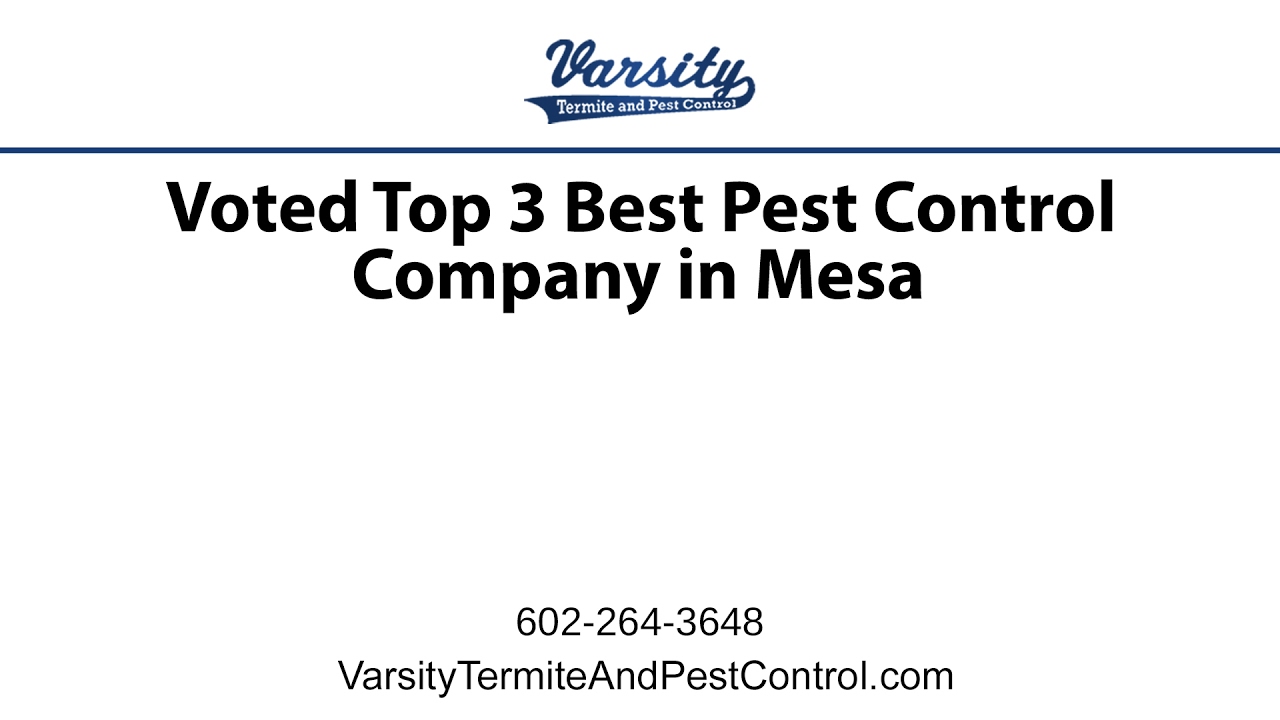 Varsity Voted Top Three Best Rated Pest Control Companies in Mesa!