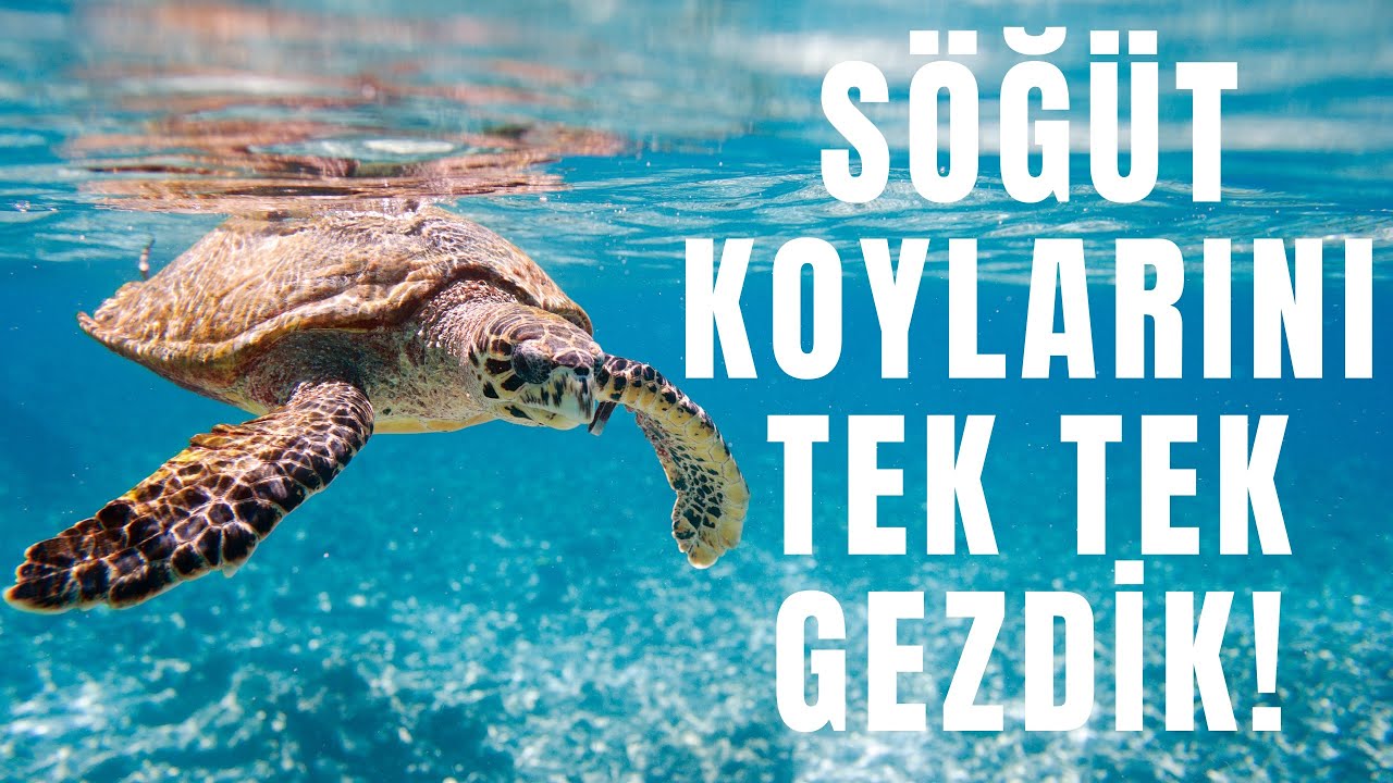 Marmaris Söğüt’ün Cennet Koyları | Sahillerden Çıkanlara İnanamayacaksınız!