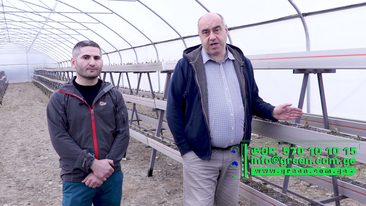 თანამედროვე სტანდარტის სათბური სოფ. აკურა
