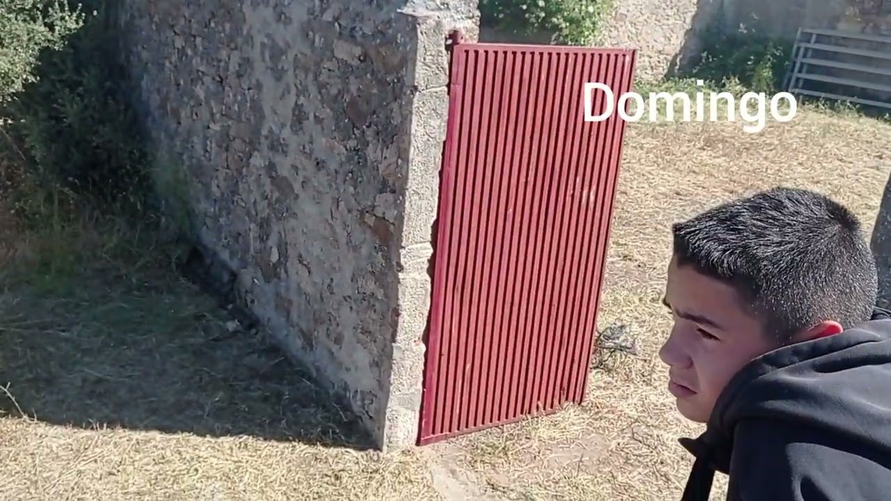 CORPUS DE LEDESMA 2024