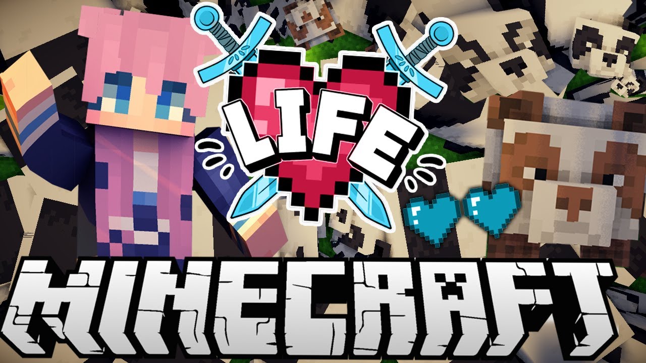 ✧･ﾟ: Panda Chaos :･ﾟ✧ | Ep. 6 | Minecraft X Life SMP