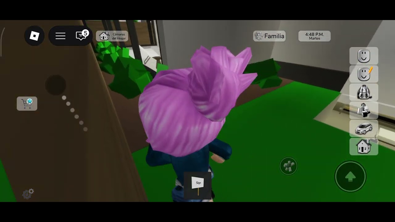 Me visto de tocina para enseñarles una lección a los jugadores en Brookhaven 