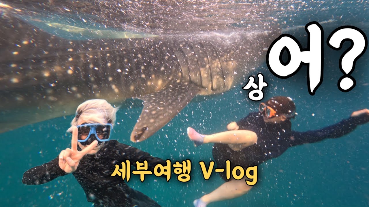 세부 브이로그ㅣ고래상어 보고 힐링하고💕 가와산에서 PTSD😵‍💫