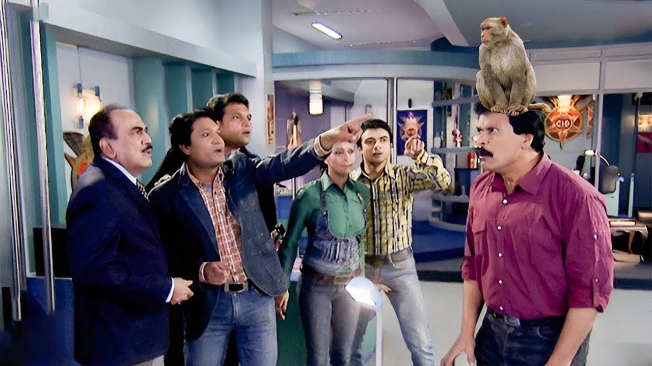 बन्दर के सिर पे क्यों है लाखों का इनाम ? क्या CID लगा पायेगी सच का पता | CID LATEST EP | #cid