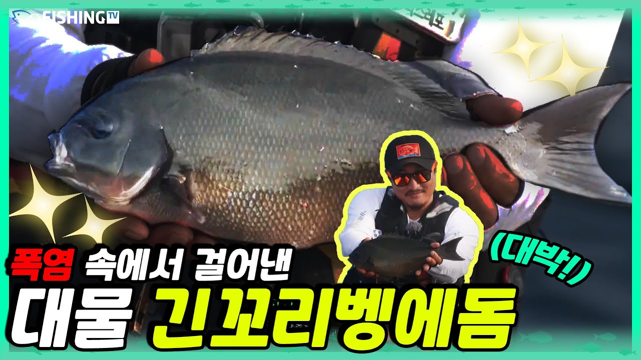 [피싱TV] 폭염 속에서 걸어낸 대물 긴꼬리벵에돔ㅣ귀리 #12