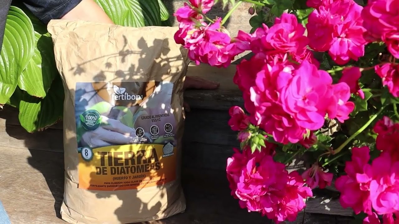 Cómo eliminar las HORMIGAS del huerto de forma NATURAL  y efectiva con tierra de DIATOMEAS